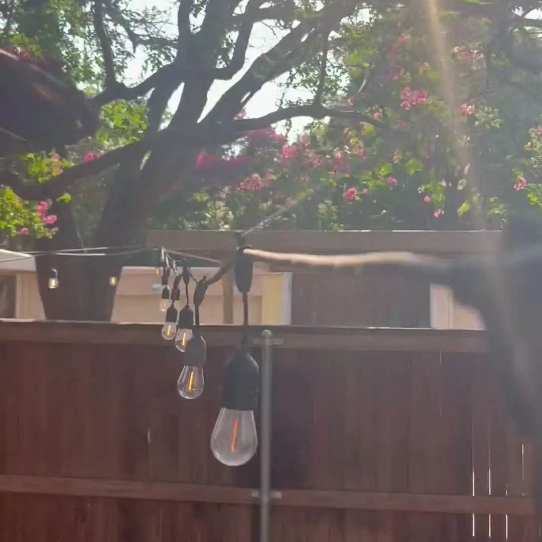 DIY Backyard Lighting